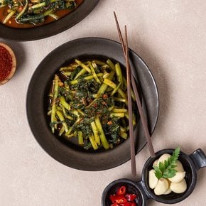 [쓱7클럽] 종가 BIG 열무김치 2.3kg