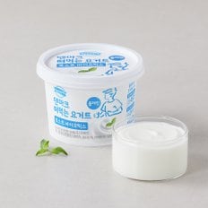 떠먹는 요거트 플레인 450g