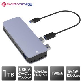 G-Storategy SSD 1TB PS5 PS4 USB3.2Gen2 USB 타입-A FFF NV33501EX-GY 외장형 소형 휴대용