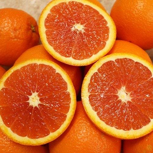 상품이미지2
