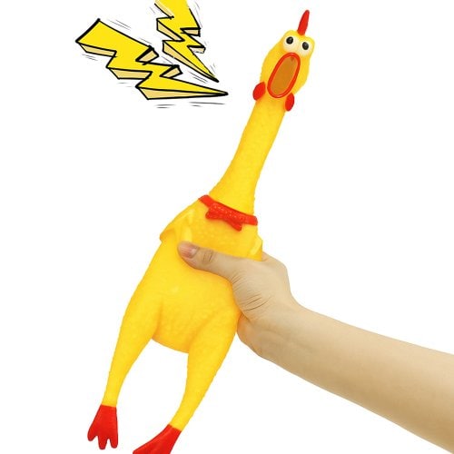 이미지1