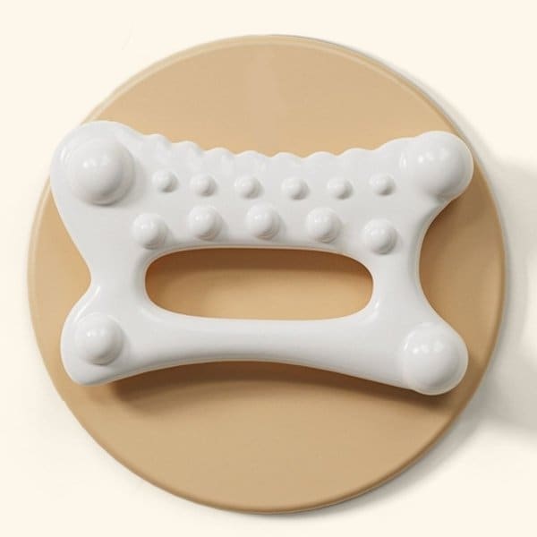 확대된 대표 image1