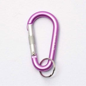 직수입 키 카라비너 나수칸 6 LILAC JBEIXUZA184 1124338