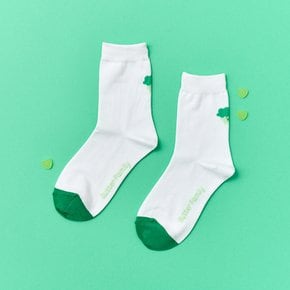 베지갱 브로씨 포인트 중목양말 화이트