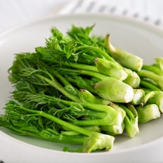 산해직송 국산 제철 봄나물 (노지 땅두릅 2kg)