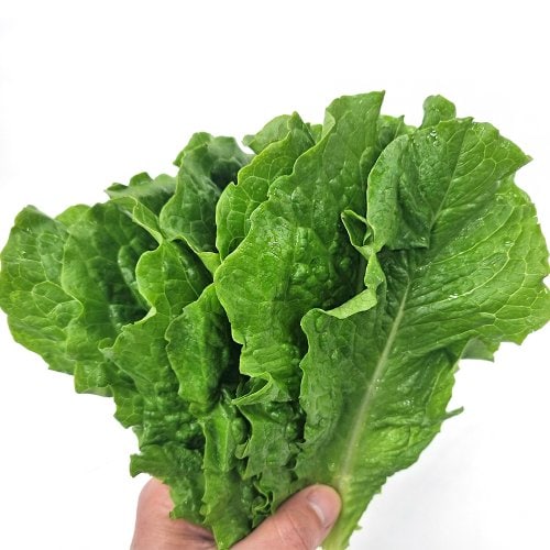 상품이미지3