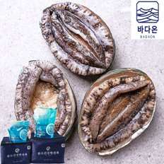 [선물포장] 바다온 완도활전복 13-14미 1kg(마리당70g내외)