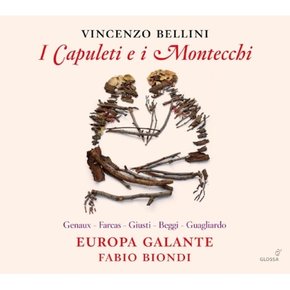 [CD] 벨리니 - 카풀레티와 몬테키 [2Cd] / Bellini - I Capuleti E I Montecchi  [2Cd]