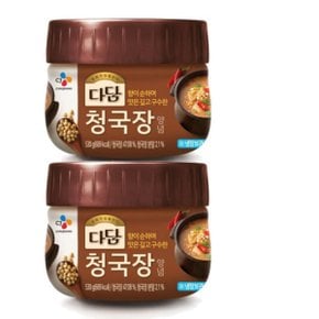 CJ제일제당 다담 청국장 찌개 양념 530g 2개입