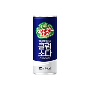 캐나다드라이 클럽소다 250ml