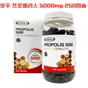 호주 프로폴리스 5000mg 250캡슐 10:1