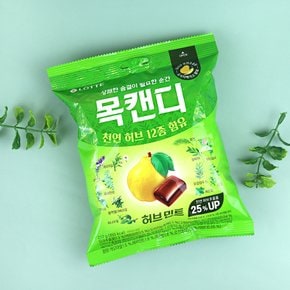 롯데제과 목캔디 파워허브 217g / 캔디류