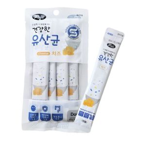 강아지장건강 펫간식 유산균치즈 15g 4개 X ( 3세트 )