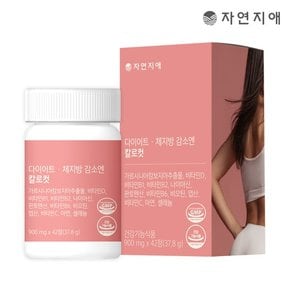 다이어트 체지방 감소엔 칼로컷 900mg x 42정 x 1개