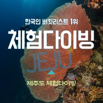  [제주도] 한국인 버킷리스트 No.1 체험다이빙