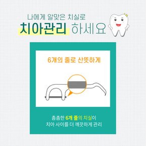 일본 고바야시 스탠다드 6줄 치실 간편한 치간 케어(60개)