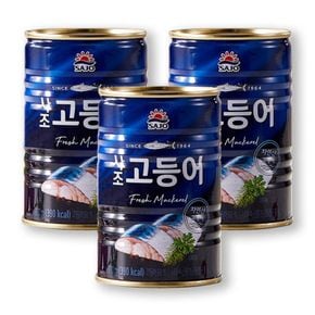 사조 고등어 300gX3캔[34205874]