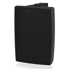 TANNOY DVS8 헬스장 GX룸 벽걸이 스피커 8인치 검정