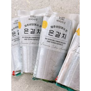 제주 은갈치  1마리 400g 이상 4토막