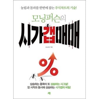  모닝퍼슨의 시가갭매매 : 눌림과 돌파를 한번에 잡는 주식차트의 기술