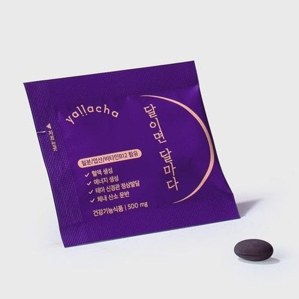 파우치