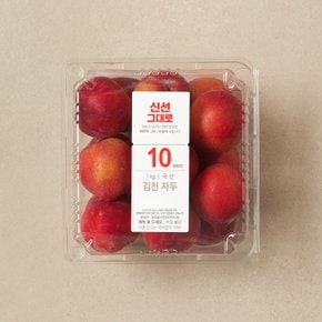 유명산지 김천 자두 1kg (팩)