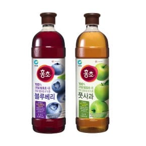 홍초 풋사과 1.5L + 블루베리 1.5L