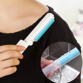 휴대 가능한 실용적인 먼지 제거기 먼지청소