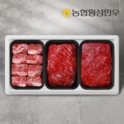 [9/12일(목) 오전8시 마감][냉동][농협횡성한우] 1등급 명품갈비세트 6호/찜갈비1팩(팩당600g)+국거리1팩+산적1팩(팩당500g)