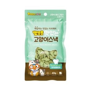 뽀로로펫 맛있는 고양이 스낵 참치 페퍼민트 40g