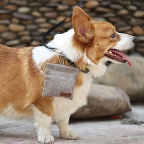 (BND-A23) 반자동 미니 산책가방 강아지산책가방