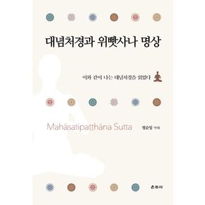 대념처경과 위빳사나 명상