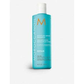 MOROCCANOIL 모로칸오일 모이스처 리페어 샴푸 250ml 2팩