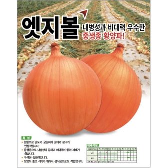 아시아종묘 양파씨앗종자 엣지볼(100g)