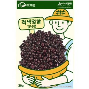 콩씨앗종자 적색덩굴 강낭콩 (30g)