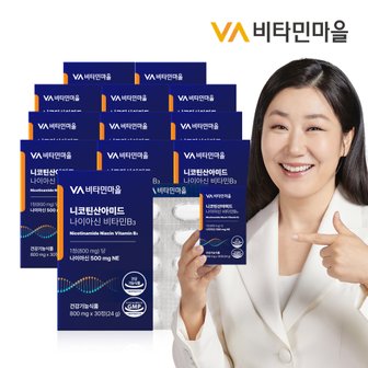 비타민마을 고용량 500mg 니코틴산아미드 나이아신 비타민b3 30정 x 12박스 (총12개월분)