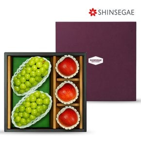 [9/17일 오전9시 결제건까지 명절 전 출고] 고당도 샤인머스캣 사과 혼합 선물세트 (5입)