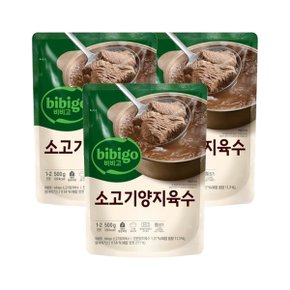 비비고 소고기양지 육수 500g x3개