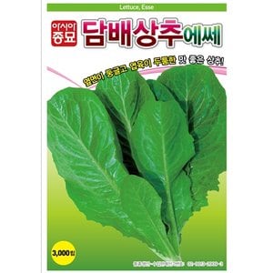 아시아종묘 상추씨앗종자 담배상추 에쎄(3000립)