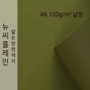 종이문화 뉴씨플레인 얇은 양면색상지 120g A6 No.41 올리브색 낱장 1매 색지