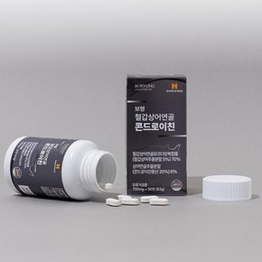 철갑상어 연골콘드로이친 700mg 90정