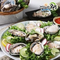 완도 다시마 활 전복 1kg(10-11미)_국내산(양식)