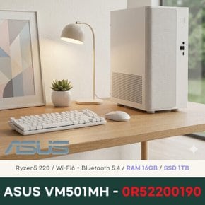 VM501MH-0R52200190 데스크탑  16GB 1TB