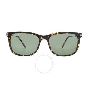 4826662 Lacoste Green Sport Mens Sunglasses