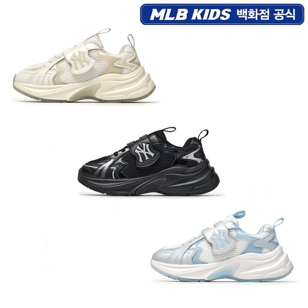 확대된 대표 IMAGE1