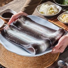 광주맛집 자포니카 풍천 민물장어 손질후 1.2kg-1.3kg(2-3미)+소스4+생강채