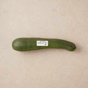 쥬키니(개)