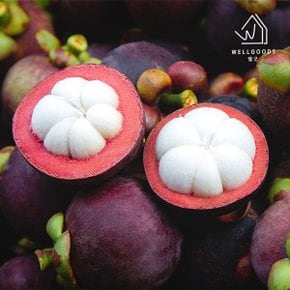 항공직송 태국 생 망고스틴 1.5kg(15-21과)