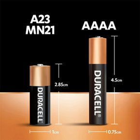 듀라셀 알카라인 건전지 MN21 2개입