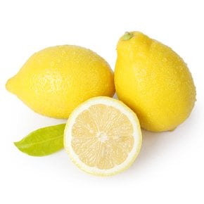 팬시 레몬 18개입(2kg내외)